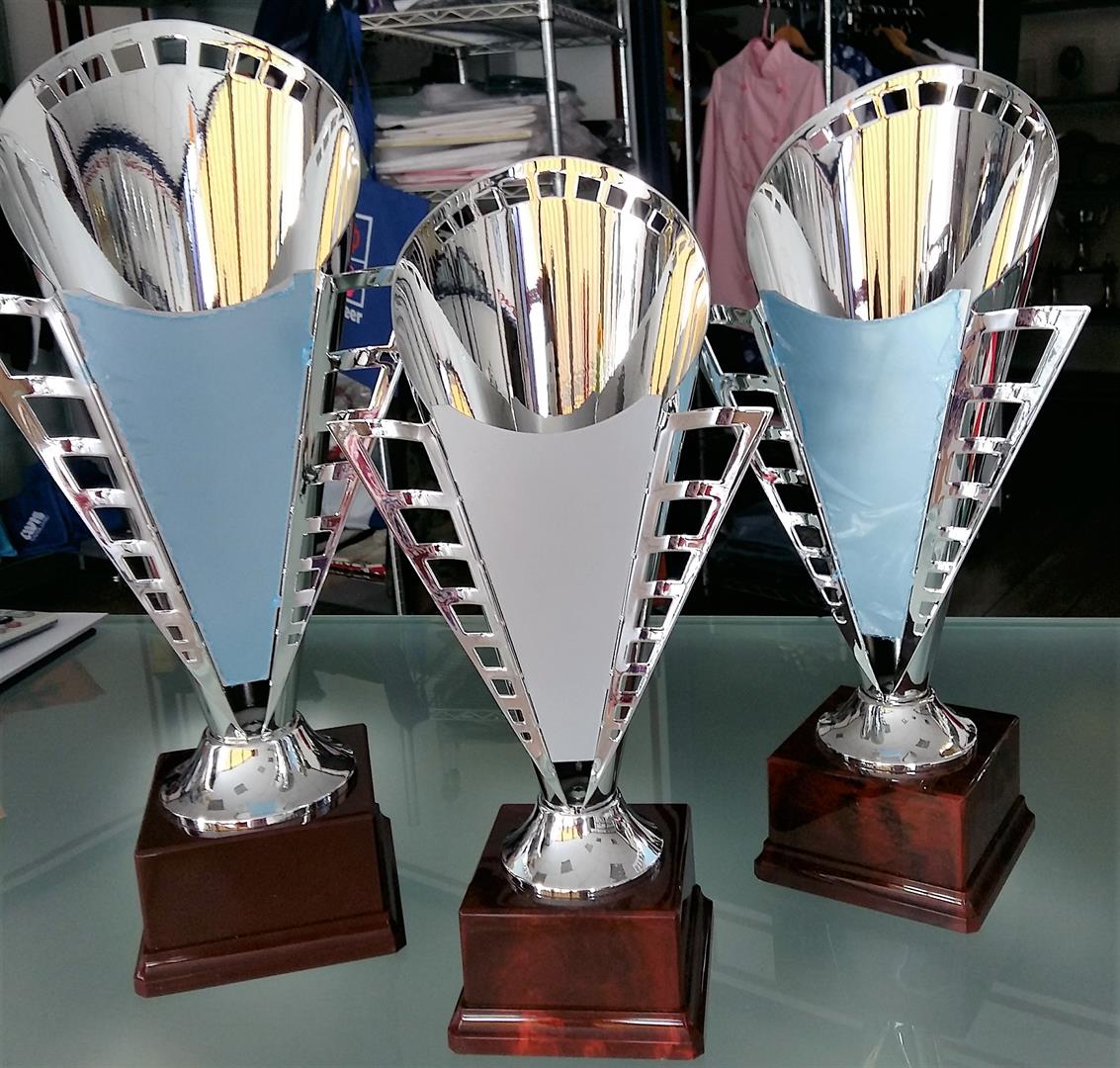 Targhe, Trofei e Medaglie - IL PREMIO