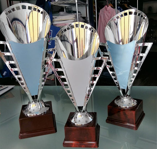 Targhe, Trofei e Medaglie - IL PREMIO