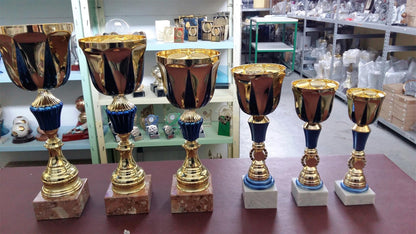 Targhe, Trofei e Medaglie - IL PREMIO